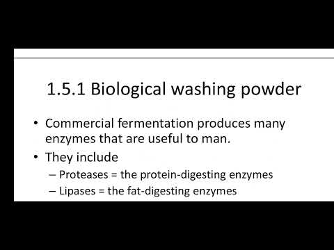 Grade 11 Biology, Chapter 1, 1.5 Enzymes used in industry