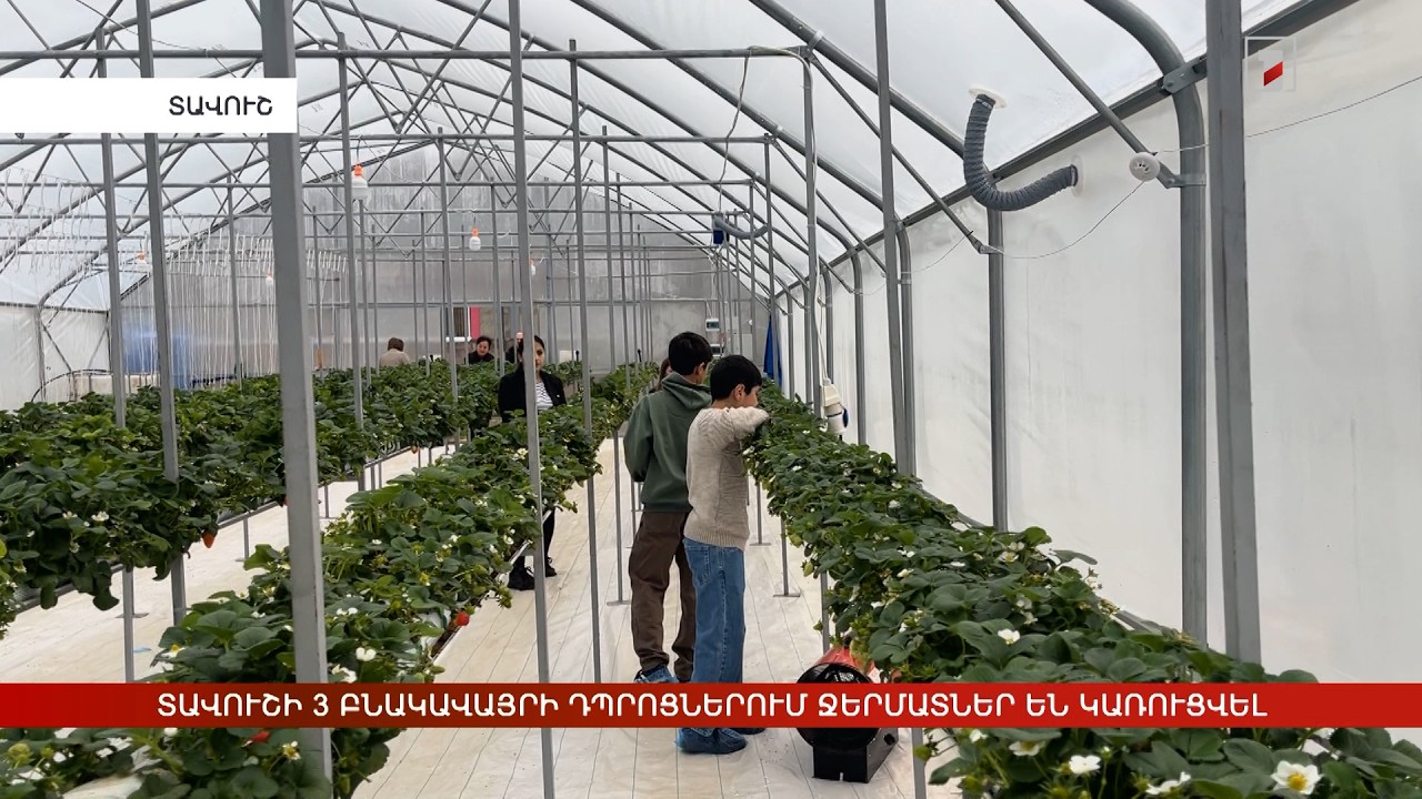 Տավուշի 3 բնակավայրի դպրոցներում ջերմատներ են կառուցվել