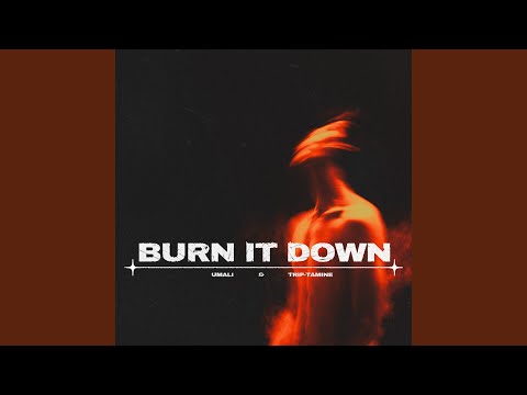 Burn It Down