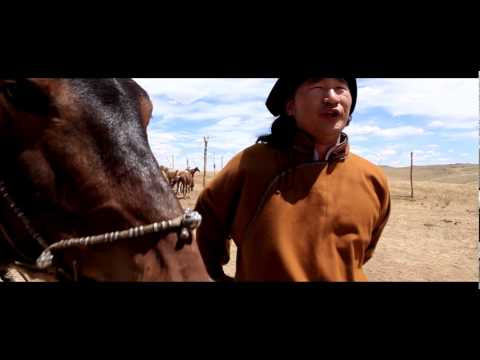 Д.Наранхүү /МУСТА/ Туулай хээр D.Narankhuu /MUSTA/ Tuulai kheer