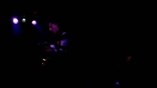 Miniature Tigers - The Wolf