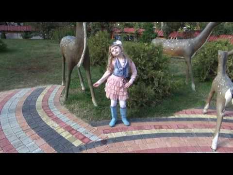 DUMITRITA CUIBARI-VEDETA(MIORITA)