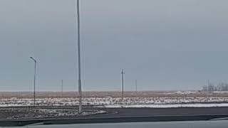 Қызылорда облысы жол патрульдік полициясы. Басыздық