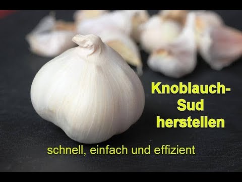 knoblauchsud selber herstellen