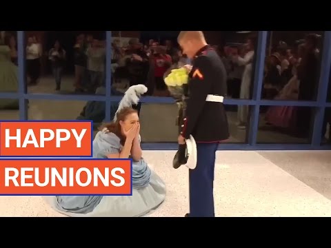 Happy Reunions Sweet Video Compilation 2017