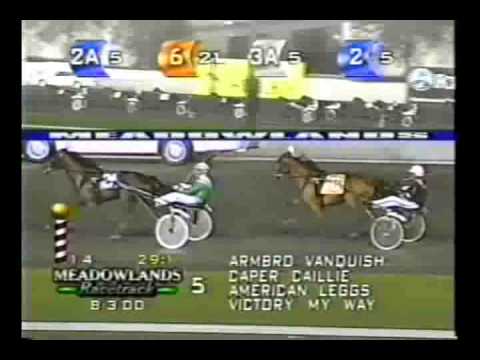Merrie Annabelle Filly Trot 2000 -Spellbound Hanover