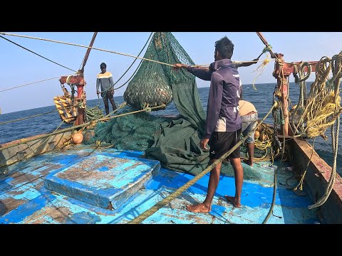 Most Satisfying Sea Fishing Videos - Amazing Gill Net Fishing Line Catching Big Fish  @FISH_TV