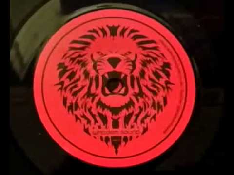 J.Robinson - Heal I [WHODEM004]