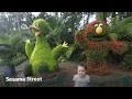 Sesame Street Busch Gardens Tampa Princess Mia PlayTime