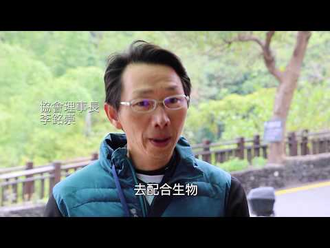 紫斑蝶保育行動 喚起台灣人土地關懷意識