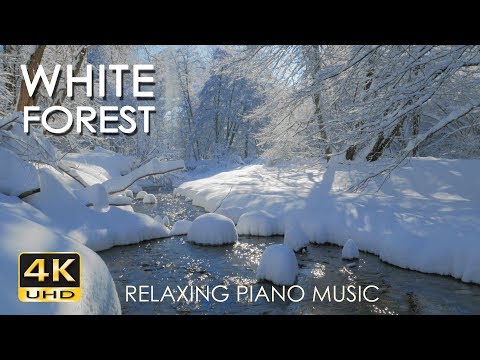4K White Forest - Relaxing Piano Music & River Sounds - Snowy Winter Nature Video - Ultra HD