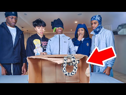 Rakai, Ray, Reem & Madi GUESS WHATS IN THE BOX 😂!