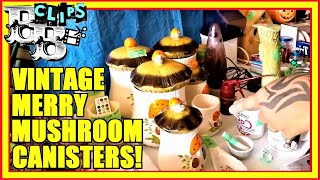 WE FOUND MERRY MUSHROOM CANISTERS, AND A HUGE BOX OF LUSH BATH BOMBS AT THIS GARAGE SALE!!!  😲😲😲