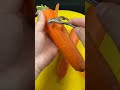 Carrot dry idea #shorts