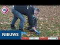 Weer dode spreeuwen gevonden in het Haagse Huijgenspark - OMROEP WEST