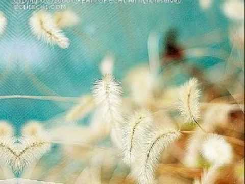 Không là anh - Phạm Quỳnh Anh