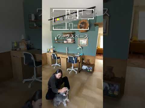 アパート用犬23匹