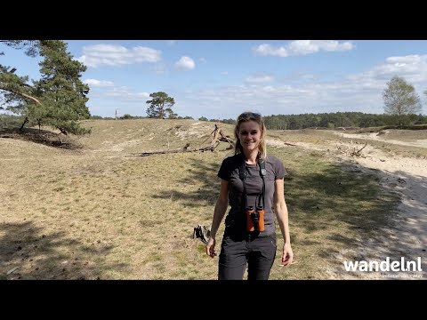 Landgoed Heidestein (Zeist) - Tip voor je Wandeltrip