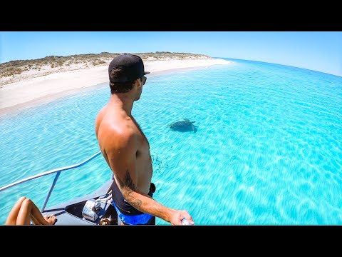 MOST AMAZING EXPERIENCE EVER Remote Island Boat Trip (Whales, Dolphins, Beach Clean Up) - Ep 243