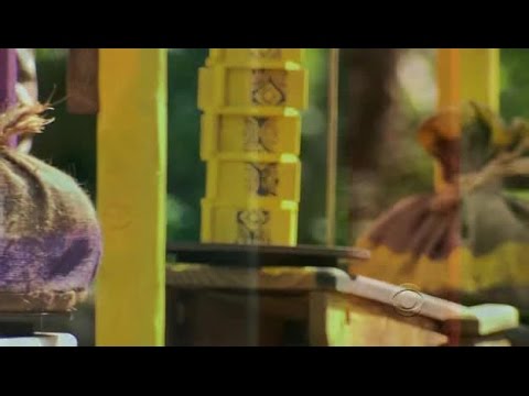 Survivor S23E15 Loyalties Will Be Broken