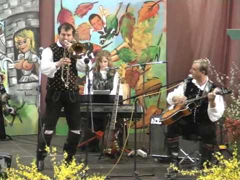 Ansambel Mira Klinca - Testament (v živo)