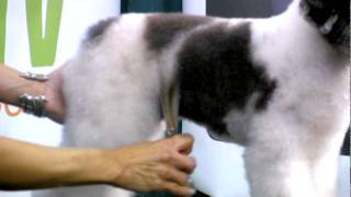 Jeanette Genther Demo - Poodle Tuck Up