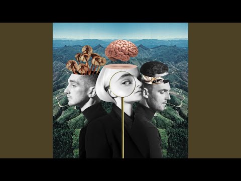 Tears (feat. Louisa Johnson)