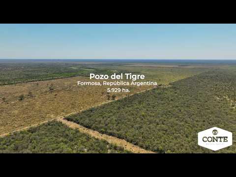 Conte Bienes Raices - Pozo del Tigre 5929 ha