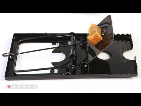 Мышеловка из Китая. Годнота! Дайте 5