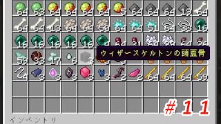 【Minecraft】ウィザスケの頭集め大変だったのにな…  part11【1.19.2実況プレイ】