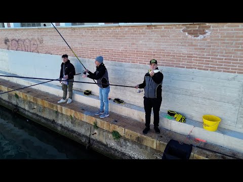 Bolognese in the city of Livorno with the "kids" (Tubertini)