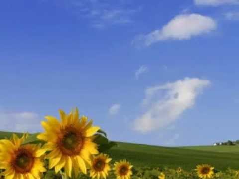 Deenyz feat Jopa BANGO Gandram pitia