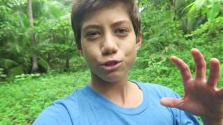 Crocodiles & Rain Won't Let Me Surf!