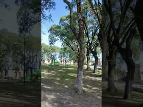 Pueblo Brugo. Dpto. Parana. Entre Rios. Parte 09