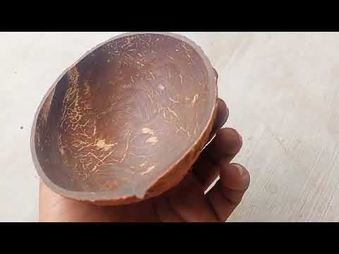 Coconut Shell Bowl
