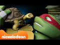 TMNT: Teenage Mutant Ninja Turtles | De Turtles adopteren huisdieren! ?? | Nickelodeon Nederlands