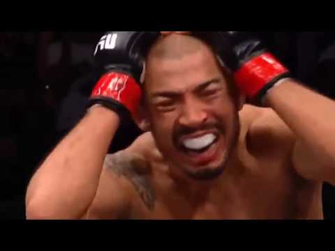 José Aldo vs Jeremy Stephens Fight