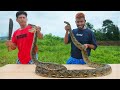 35 Kg SNAKE GRILLED Snake Grilled On Charcoals Snake Cooking Skills