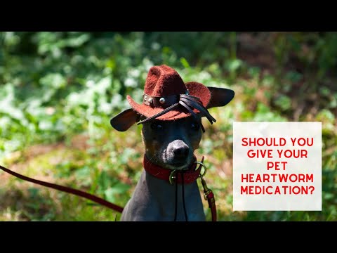 Does your Pet really Need HEARTWORM MEDICATION?