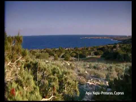AYIA NAPA, PROTARAS