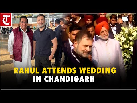Rahul Gandhi attends wedding near Chandigarh