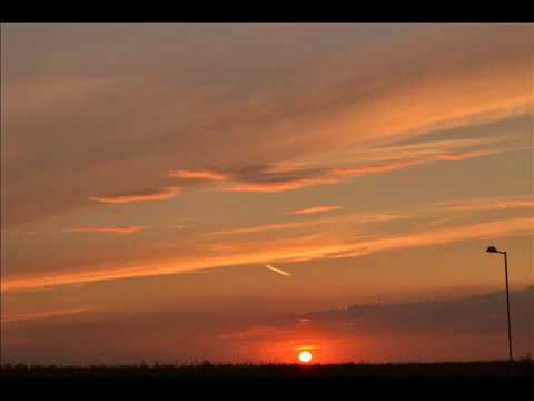 Willy DLO - Cat as vrea sa stii iubito