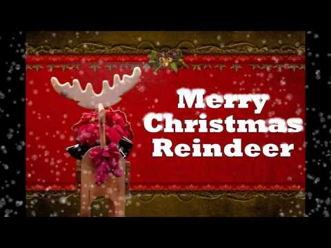 Reindeer Build - Poinsettia Holder Video