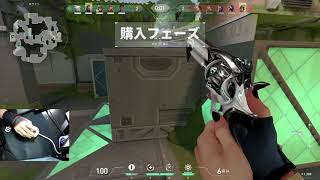 【VALORANT】 フラクチャー　レイナ　20/19/10