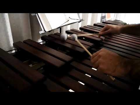 Inni di lode N°248: Venite a me voi tutti Marimba Cover