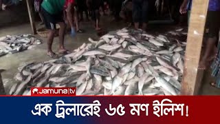 ৬৫ মণ ইলিশ এক ট্রলারে! বিক্রি ৪০ লাখ টাকা