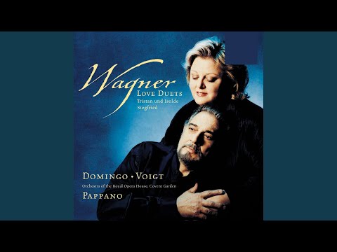 Siegfried, Act 3: "Ewig war ich, ewig bin ich" (Brünnhilde)