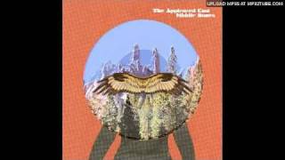 The Appleseed Cast- End Frigate Constellation