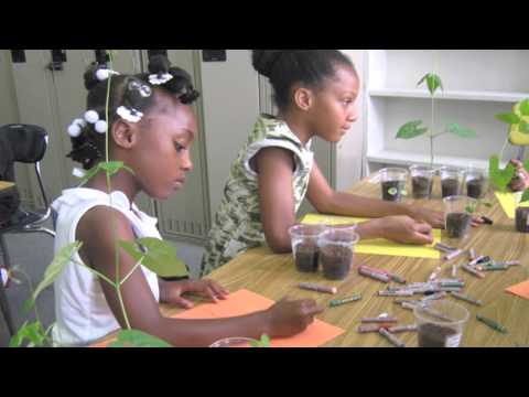 Horizons National Overview