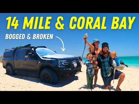 14 MILE BEACH WARROORA STATION AND CORAL BAY: 4X4 Coast Road Disaster | Giant Squid Catch and Cook!